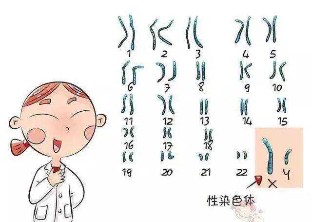 天津中心妇产科助孕中心IVF工作站招标