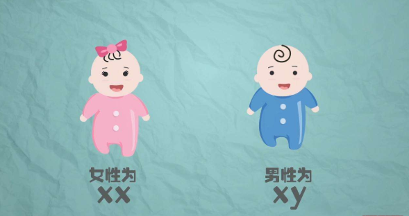 南京有供卵试管吗医院，(南京正规供卵机构)江苏私立供卵机构排名一览
